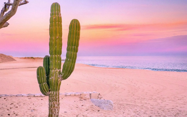 Park Hyatt Los Cabos at Cabo Del Sol