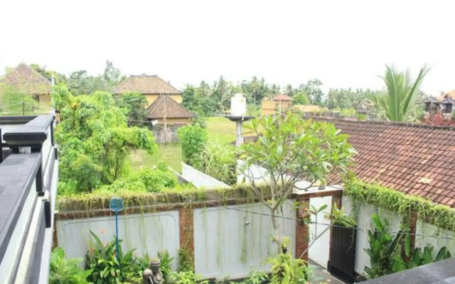Lucky Family House