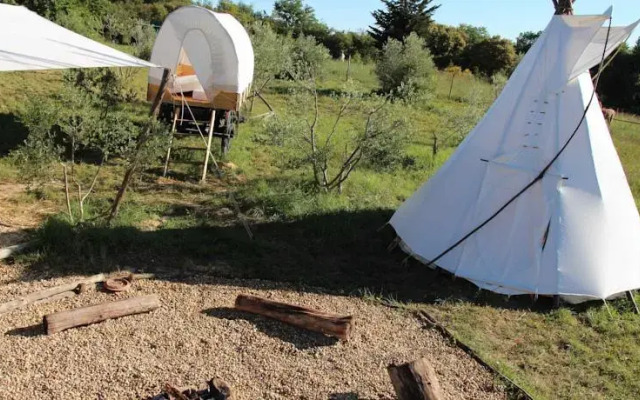 Tipis Des Oliviers