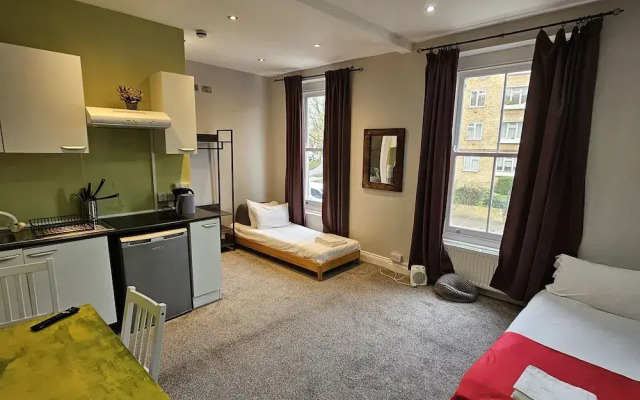 Spacious Studio near kings cross
