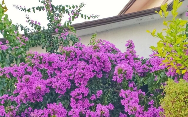 La Bouganville B&B