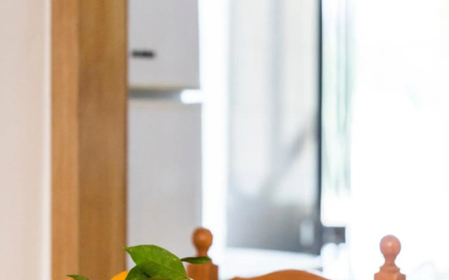 Quinta Vita - Vila Limao