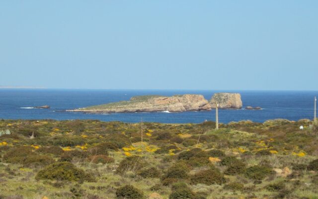 Casa Grilo