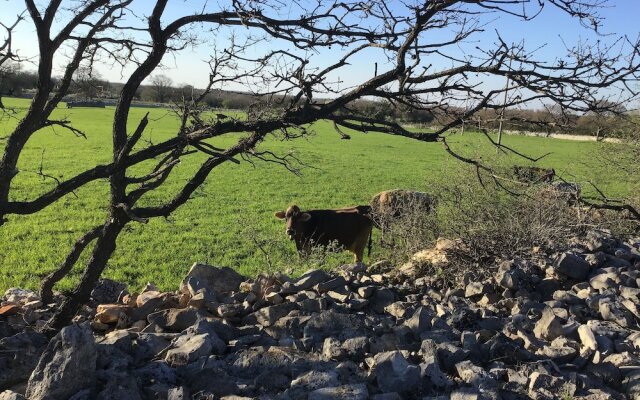 Corallo Country Hotel & SPA