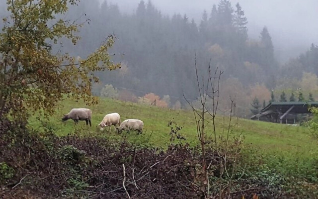 Hotel Ferien vom Ich