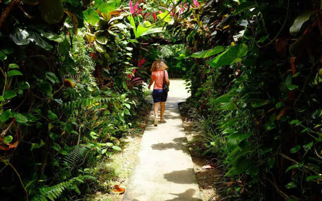 La Palapa Eco Lodge Resort