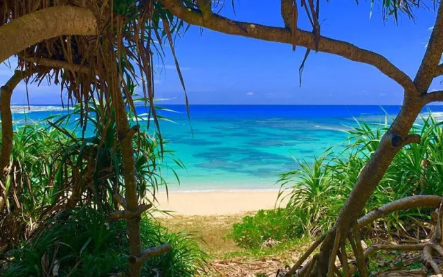 Guest House AMA TERRACE