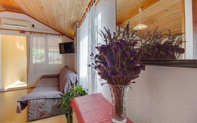 Apartment Bozena 1-4