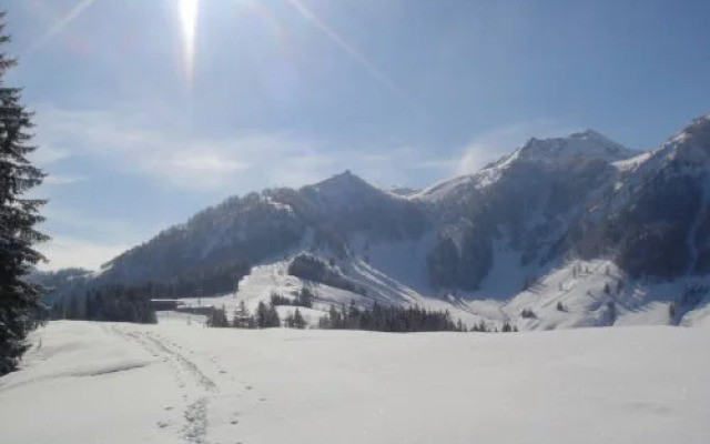 Pension Apartment Steiner