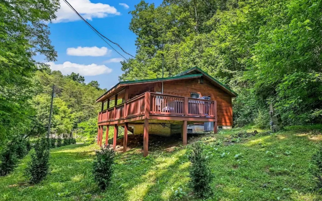 Smoky Mountains Honeymoon Cabin Dog Friendly