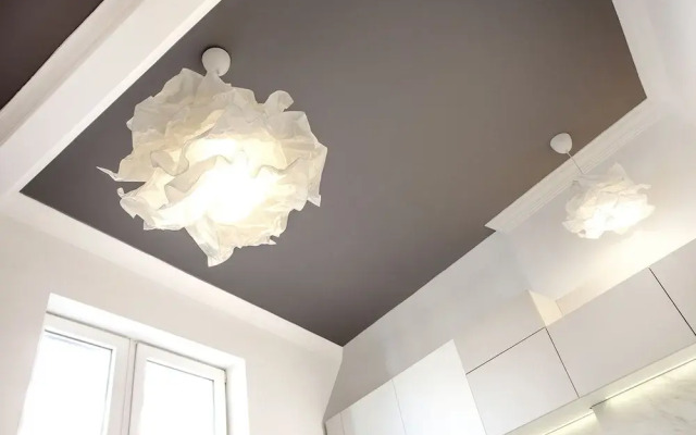 Central New Apartment