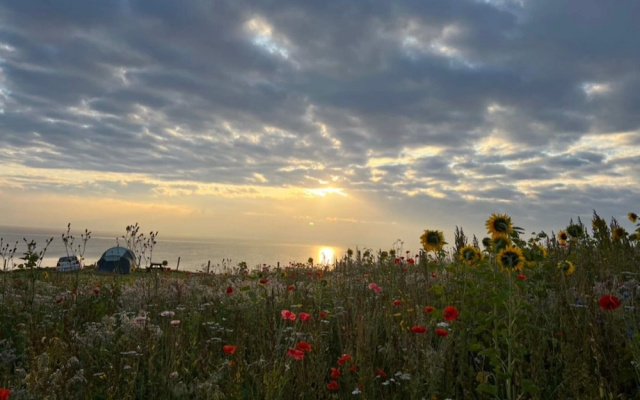 Beachside Gem for 6 - By Traum Ferienwohnungen