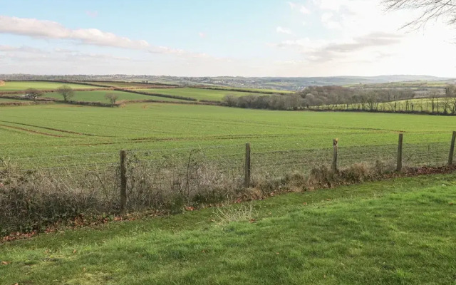 9 Faraway Fields