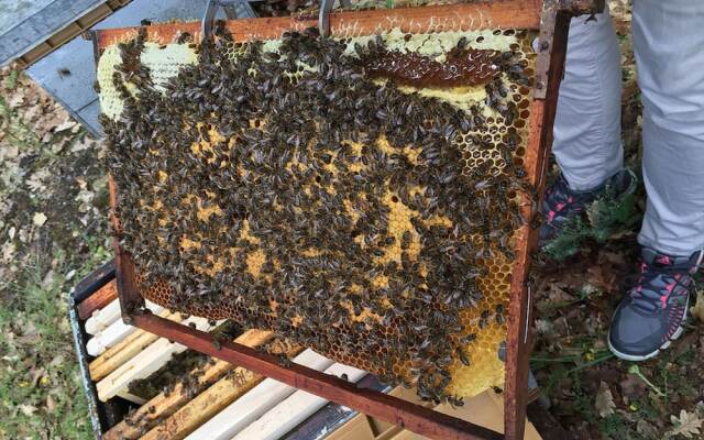 Le Clos des Collines - Gîte