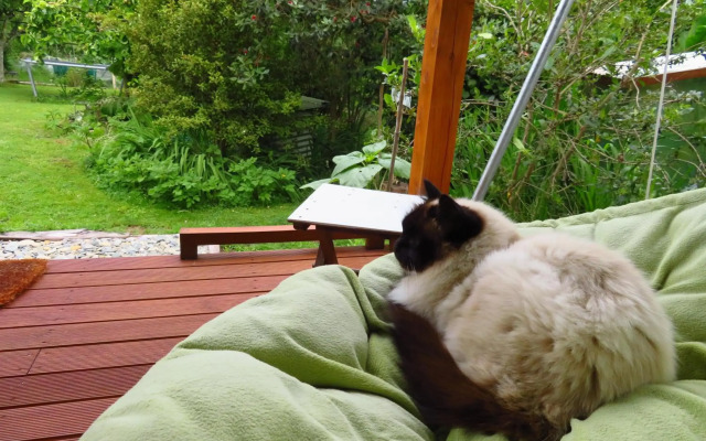 Omarama Oasis - Permaculture Glamping