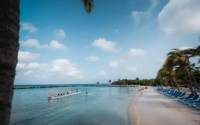 Renaissance Ocean Suites