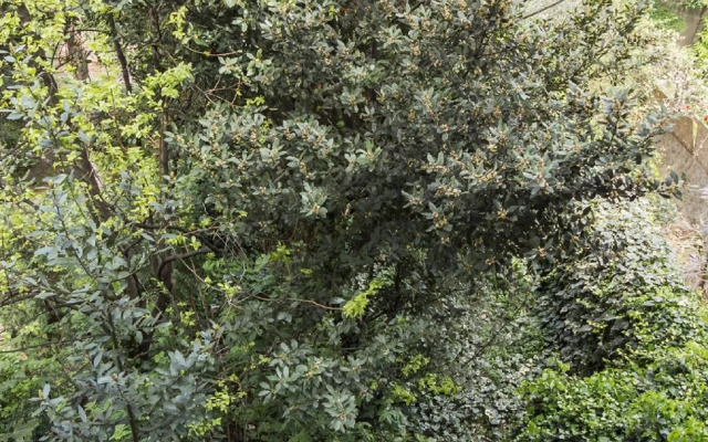 Canal View Apartment