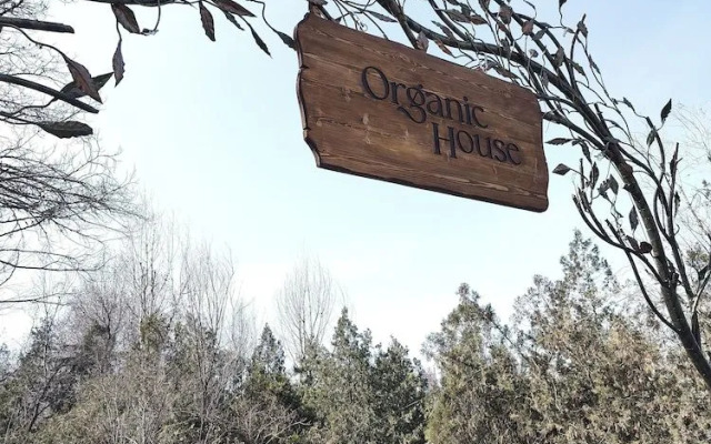 Organic House & Aquapark