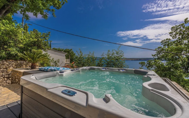 Villa Cikas Palmhouse