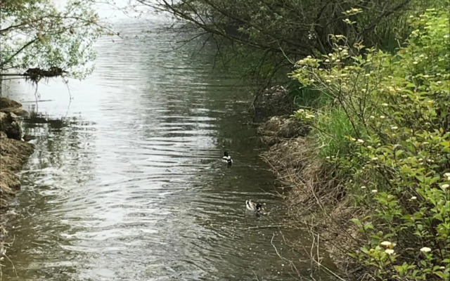 PP-Camping Wallersee