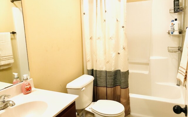 Spacious 3 BR Ranch House W Patio Yard in a Quiet Suburb