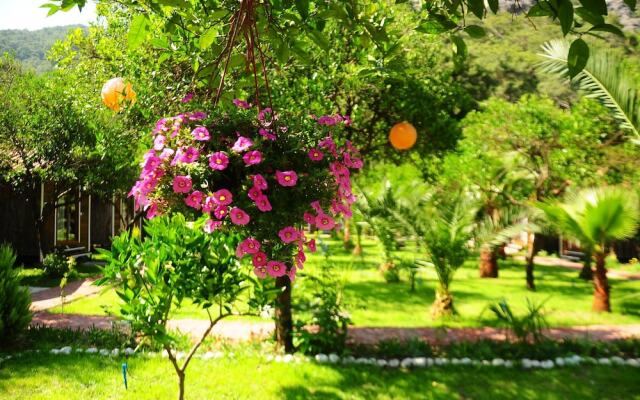 Likya Evleri Olympos - Adults Only