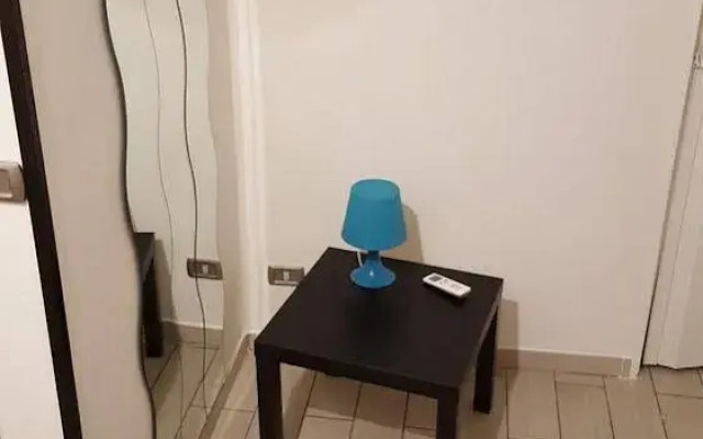 Museo Home