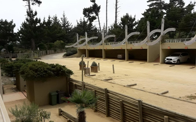 Pinares del Canelillo