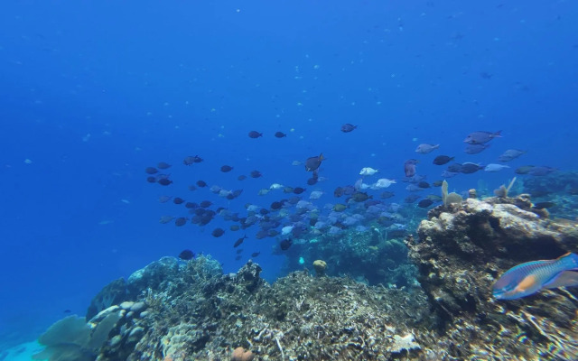Hotel and Dive Center Roatan Yacht Club
