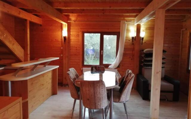 Cabana de lemn Mioveni