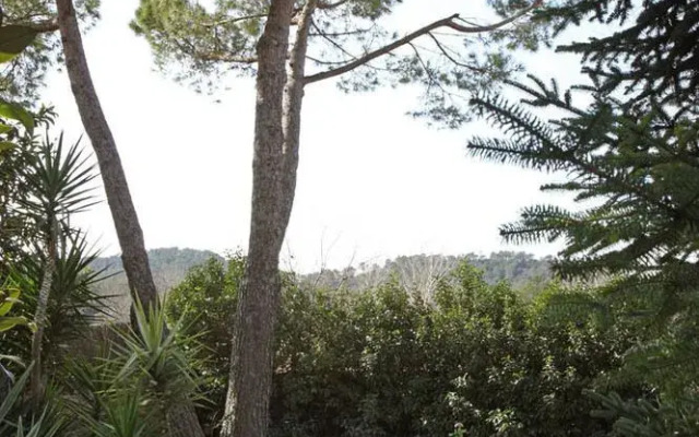 Las Moradas del Unicornio