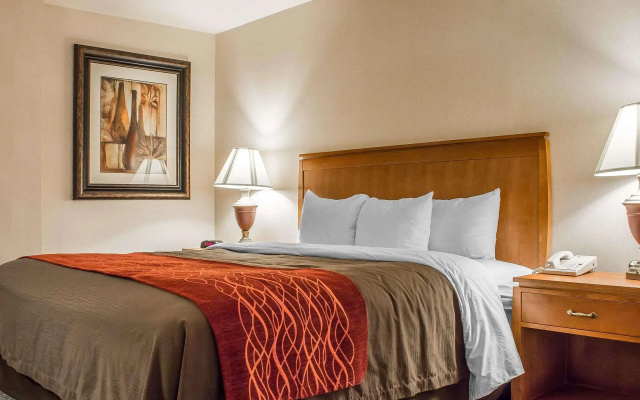 Comfort Inn & Suites Thatcher - Safford