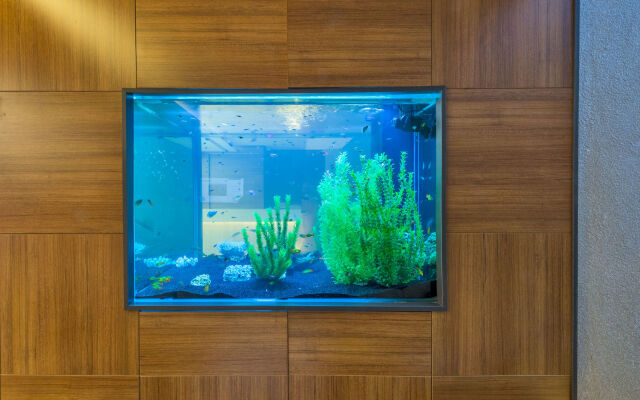 Matiat Hotel Istanbul