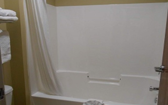 Spark by Hilton Minot