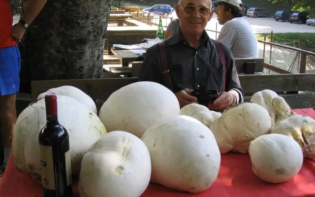 Albergo Ristorante Montecucco da Tobia