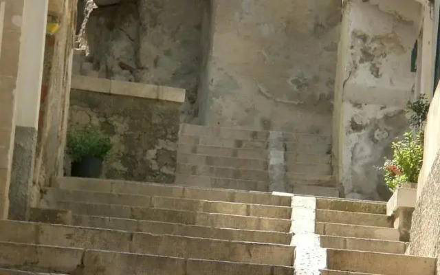 Il Carrubo di Sicilia