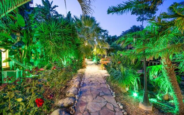 The Pearl of the Golan - Pnina BaGolan