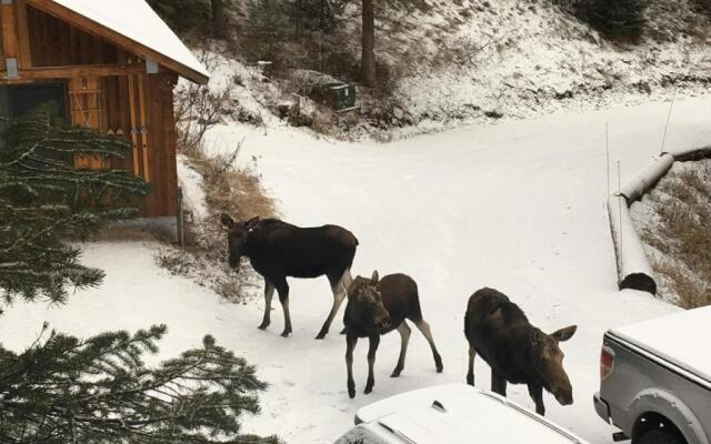 Jackson Hole Hideout