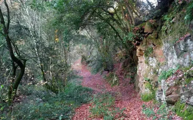 Il Moro In Piazzetta