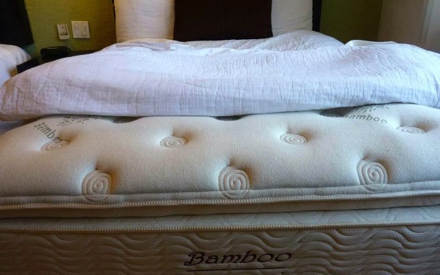 Hotel Posada Terranova