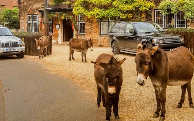 Muhuhu - Luxury Apartment