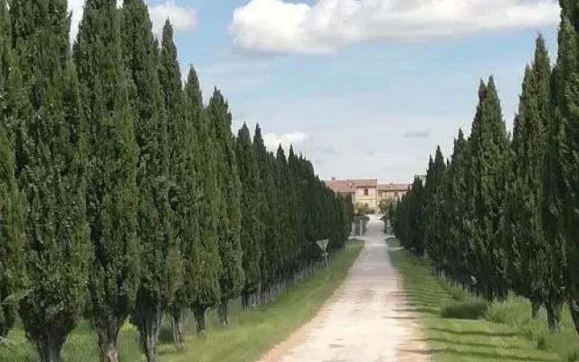 Appartamento Cipresso