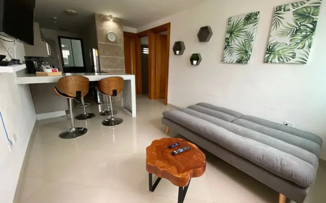 Apt 1 BR 1BT cerca de zona centro