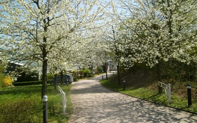 Sportpark Jürgen Fassbender