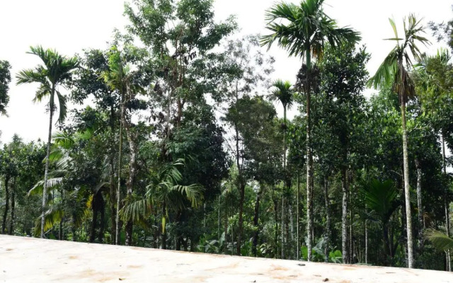 Pauls Retreat Wayanad