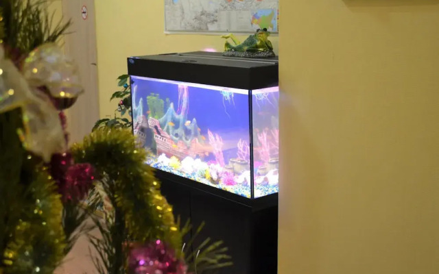 Хостел Авиатор