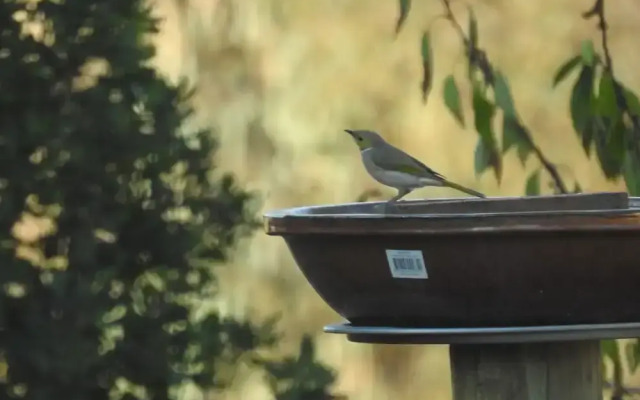 Barkly Suites Apartments