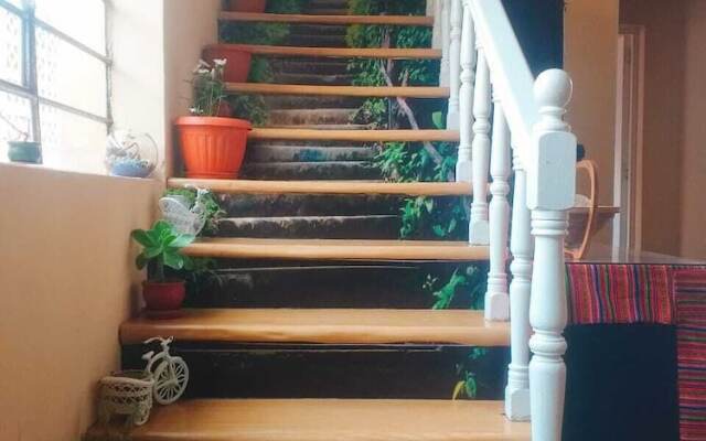 Hidden Garden - Hostel