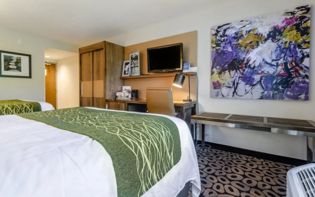 Comfort Inn Raleigh Midtown