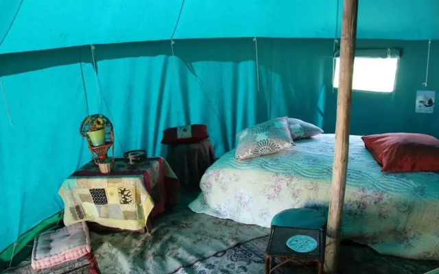 Insolites du Bonheur de Vivre